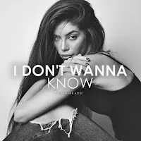 Creative Ades — I Don't Wanna Know (Extended Afro Version) Ft Caid — обложка